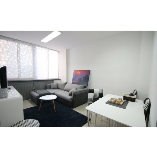Student or business serviced apartment (All-in-Rent) 4