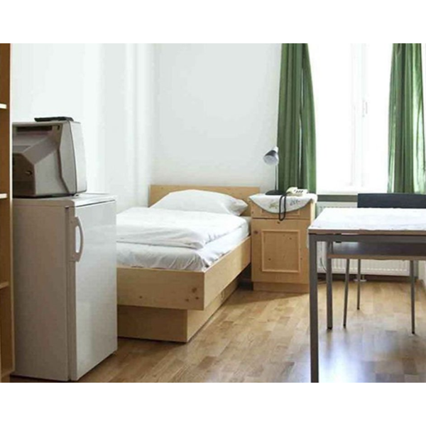 Standard apartment with private bathroom and kitchen  in Graz 3
