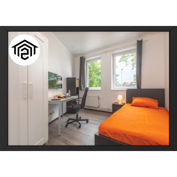 Cosy Budget Bronze Single Rooms Student Housing in Netherlands